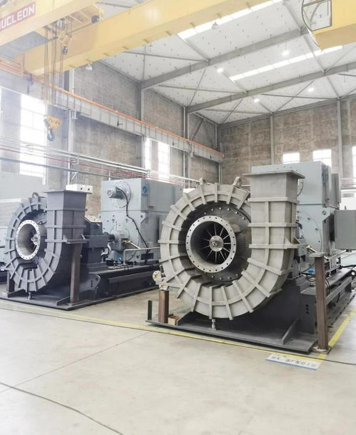 國(guó)內(nèi)首座百噸級(jí)管道增壓壓縮機(jī)順利投產(chǎn)